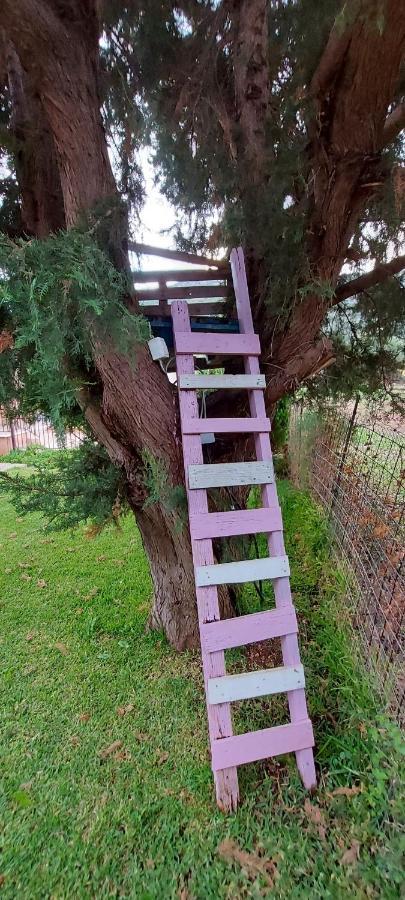 The Seasons Of Nickolas Agia Efimia Bagian luar foto